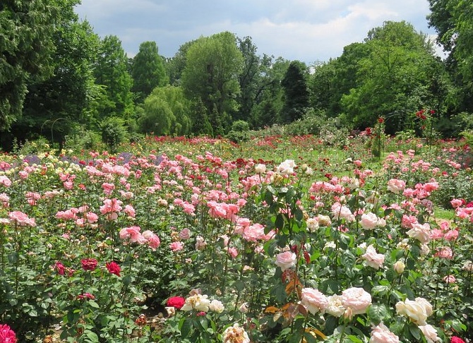 Обогреватель ПИОН Поста № 1 у Могилы Неизвестного Солдата в Александровском саду